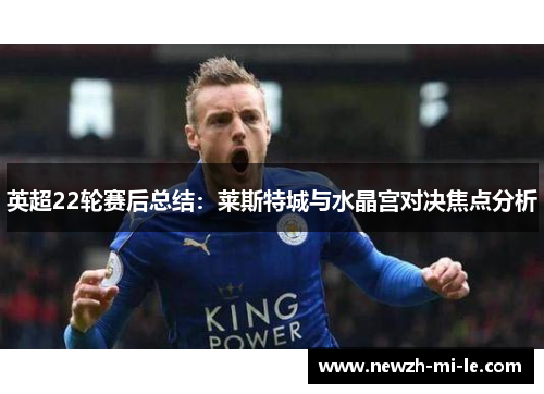英超22轮赛后总结:莱斯特城与水晶宫对决焦点分析 英超22轮赛后总结:莱斯特城与水晶宫对决焦点分析