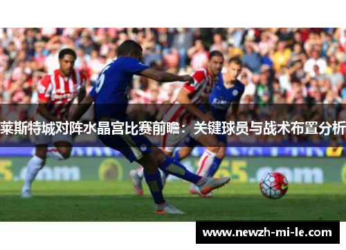莱斯特城对阵水晶宫比赛前瞻:关键球员与战术布置分析 莱斯特城对阵水晶宫比赛前瞻:关键球员与战术布置分析