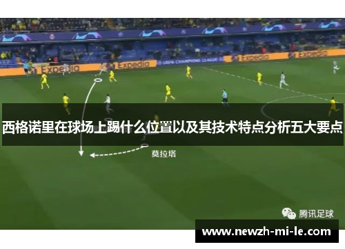 西格诺里在球场上踢什么位置以及其技术特点分析五大要点 西格诺里在球场上踢什么位置以及其技术特点分析五大要点